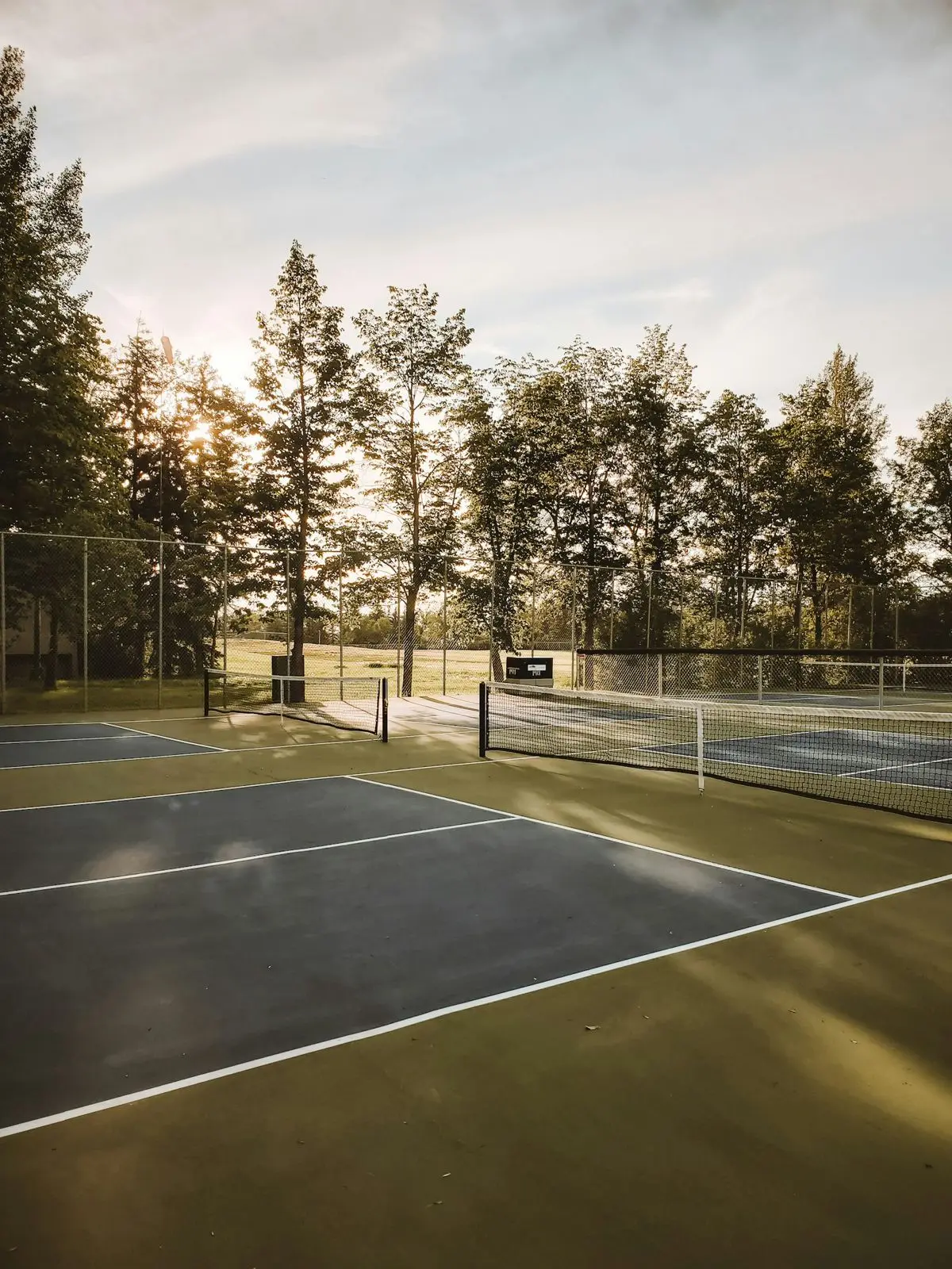 Outdoor hard tennis court surrounded by trees