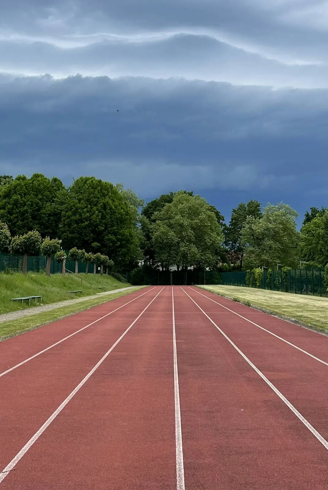 Red running track with white lane lines and trees beyond