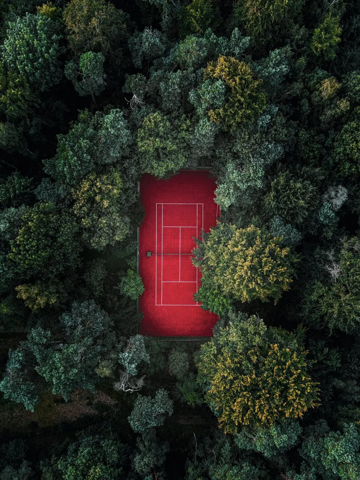 Aerial view of a red tennis court among trees